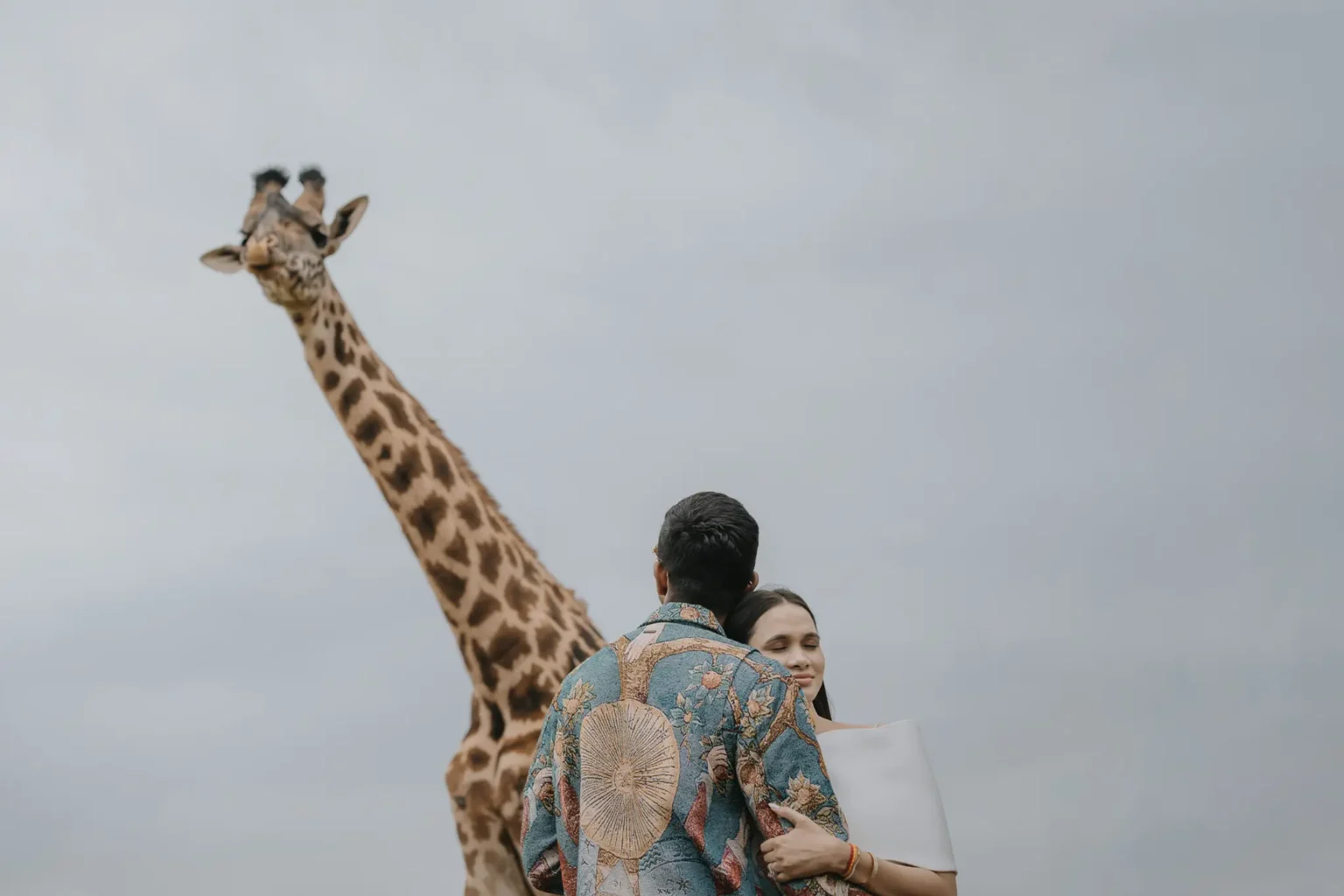 4982ed95-4306-4daa-921e-51f7e8464d74