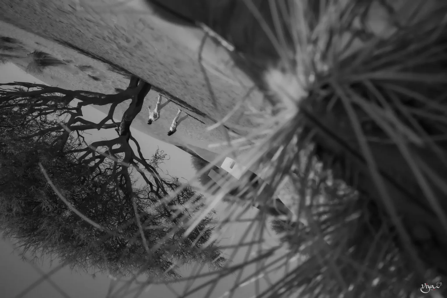 922e7af0-1127-4906-a292-7446b9e38eef